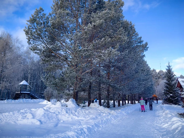 Более 2000 жителей региона провели новогодние праздники на базах отдыха АНХК